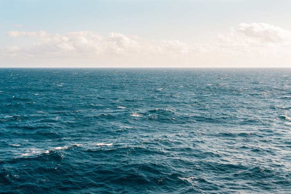 Conosciamo meglio il nostro mare per amarlo fino in fondo